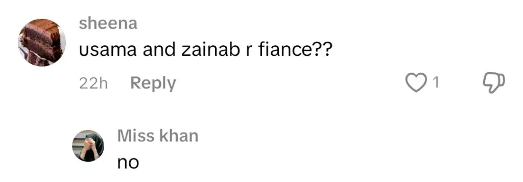 Sehar Khan & Zainab Shabbir Vacation with Usama Khan Under Scrutiny