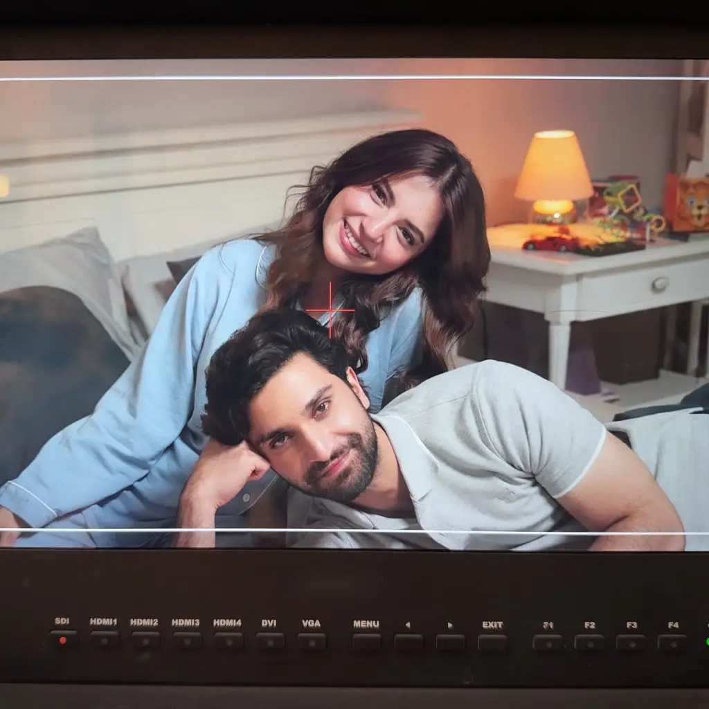 Ahad Raza Mir & Dananeer Mobeen Spotted Together At A Wedding