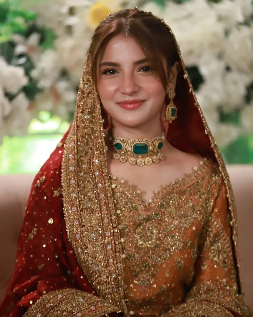 Ahad Raza Mir & Dananeer Mobeen Spotted Together At A Wedding