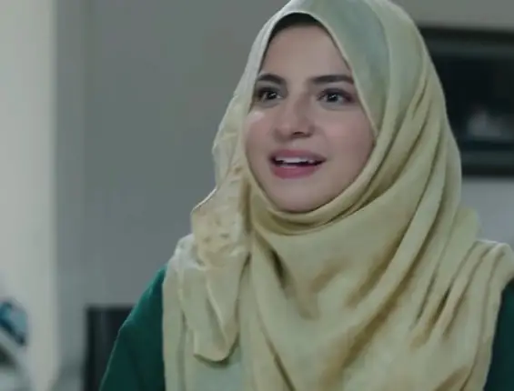 Pakistani Drama Stars Who Nailed Their On-Screen Styling
