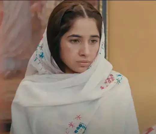 Pakistani Drama Stars Who Nailed Their On-Screen Styling