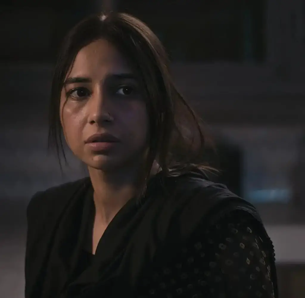 Pakistani Drama Stars Who Nailed Their On-Screen Styling