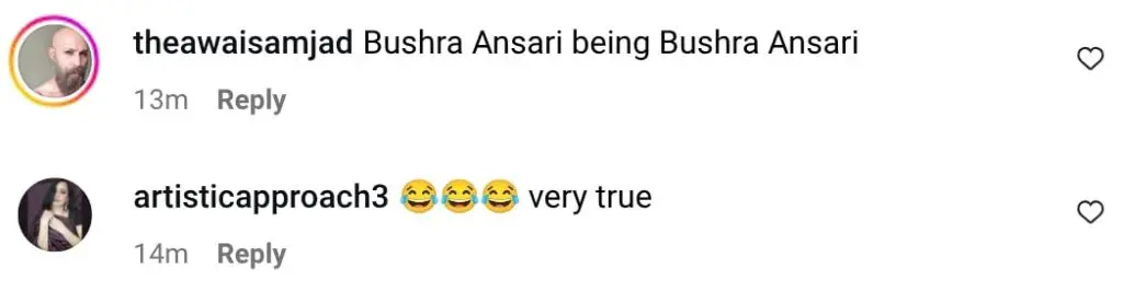 Bushra Ansari Unleashes Her Inner Feminist