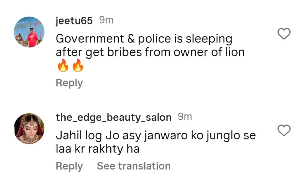 Public Outraged By Pet Lion Attack In Lahore