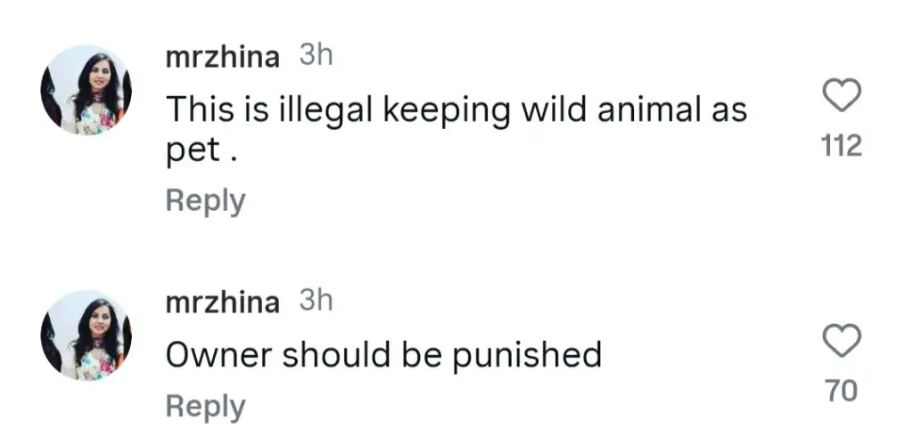 Public Outraged By Pet Lion Attack In Lahore
