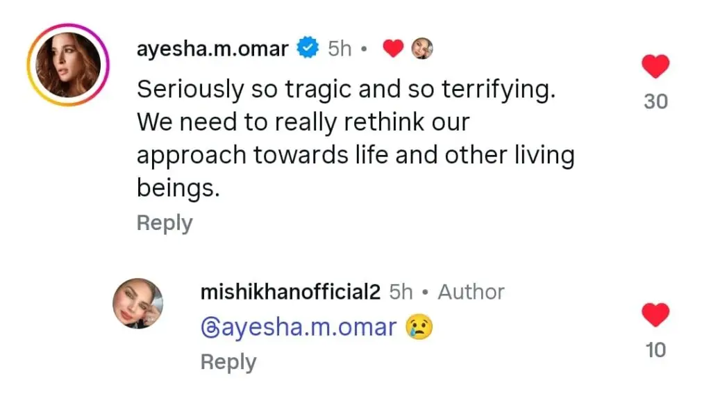 Pakistani Stars Express Grief On Humaira Asghar’s Death