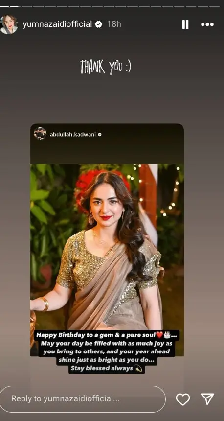 Yumna Zaidi’s Grand Birthday Celebration