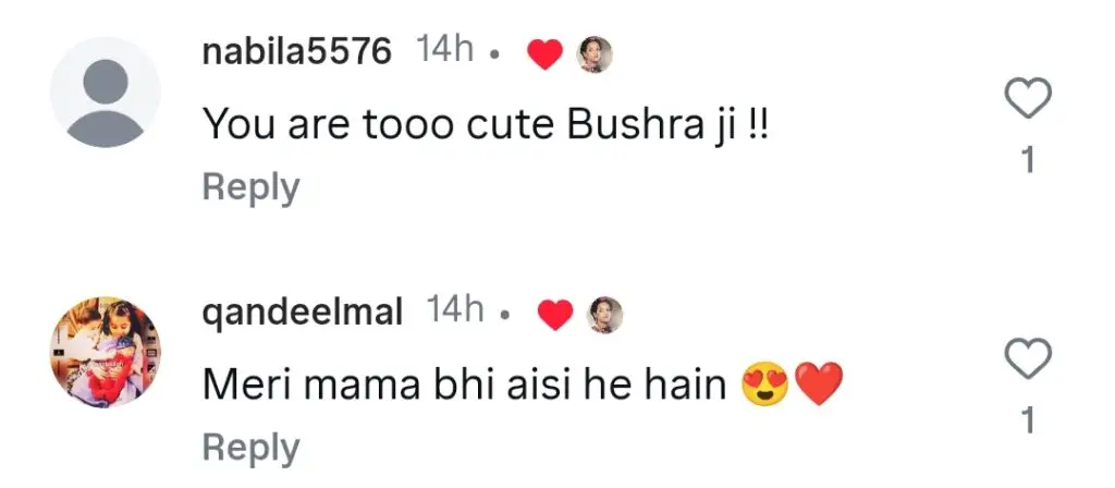 Bushra Ansari Turns Cleaner Cook For Daughter