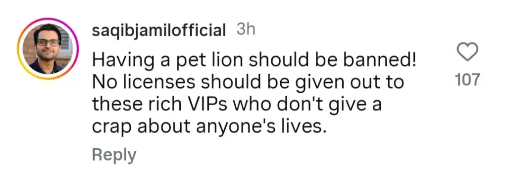 Public Outraged By Pet Lion Attack In Lahore