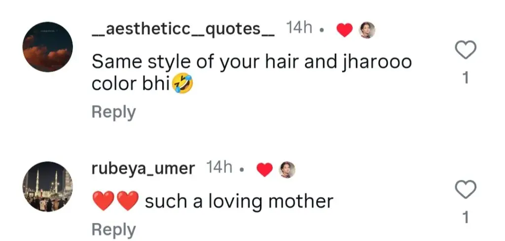 Bushra Ansari Turns Cleaner Cook For Daughter