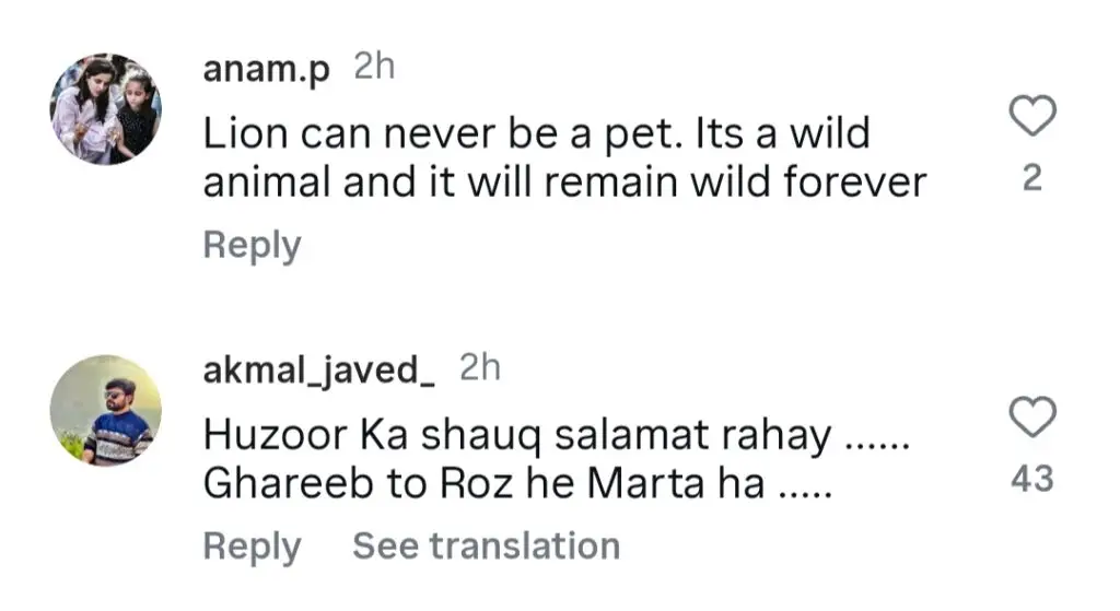 Public Outraged By Pet Lion Attack In Lahore