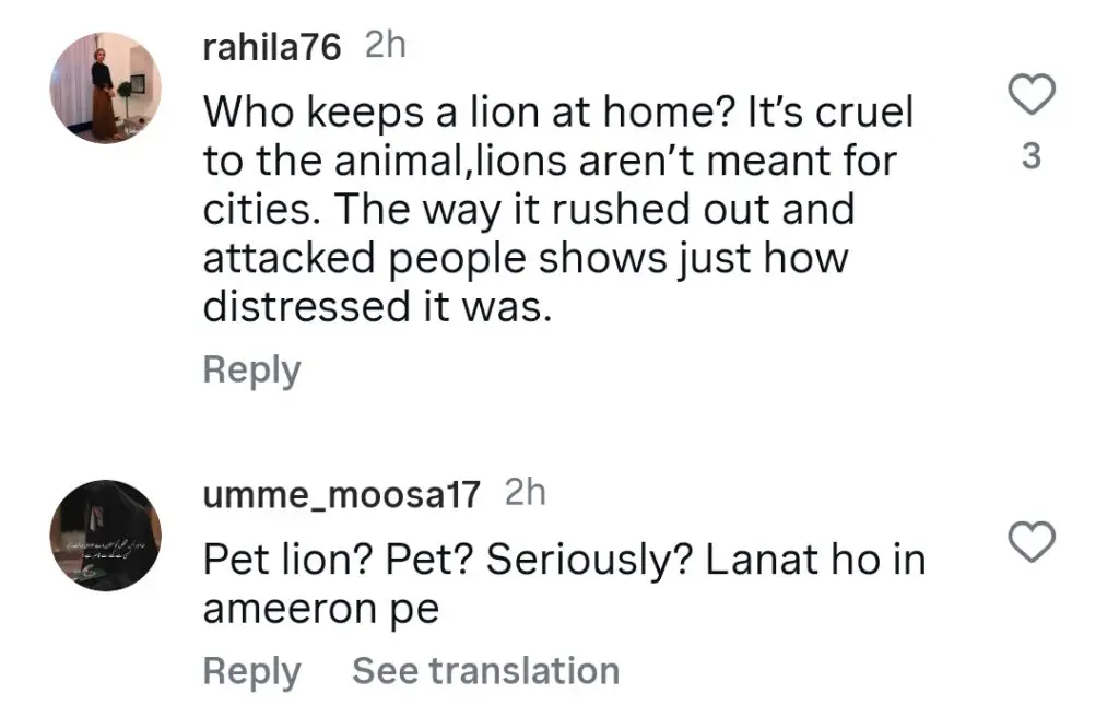 Public Outraged By Pet Lion Attack In Lahore