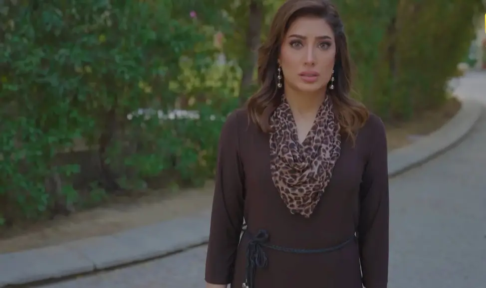 Mehwish Hayat’s Styling in Dayan – Hit or Flop?
