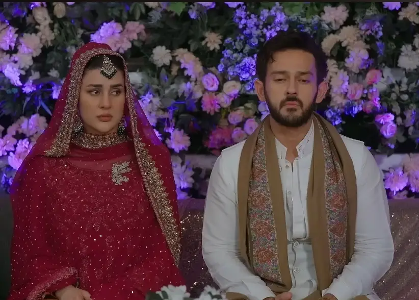 Meri Tanhai Last Episode Public Reaction