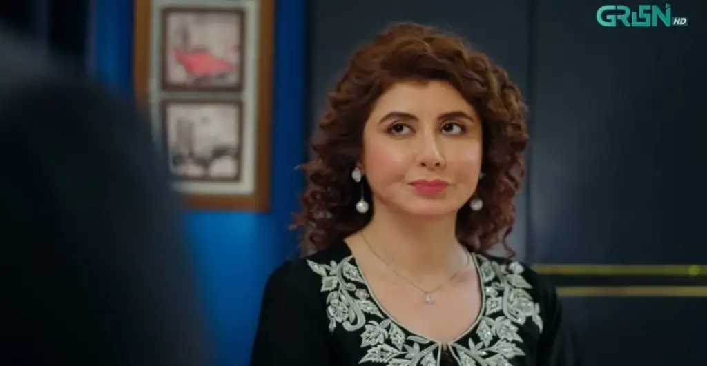 Najiba Faiz’s Look Before & After Cosmetic Surgery