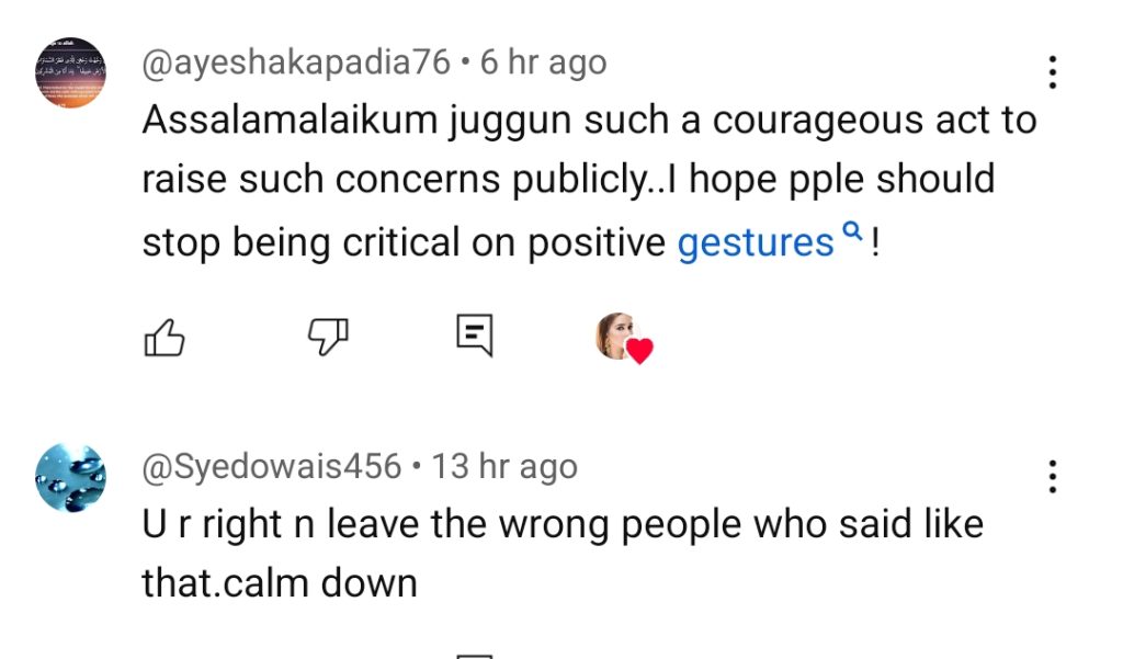 Juggan Kazim Speaks in Favour of Alizeh Shah