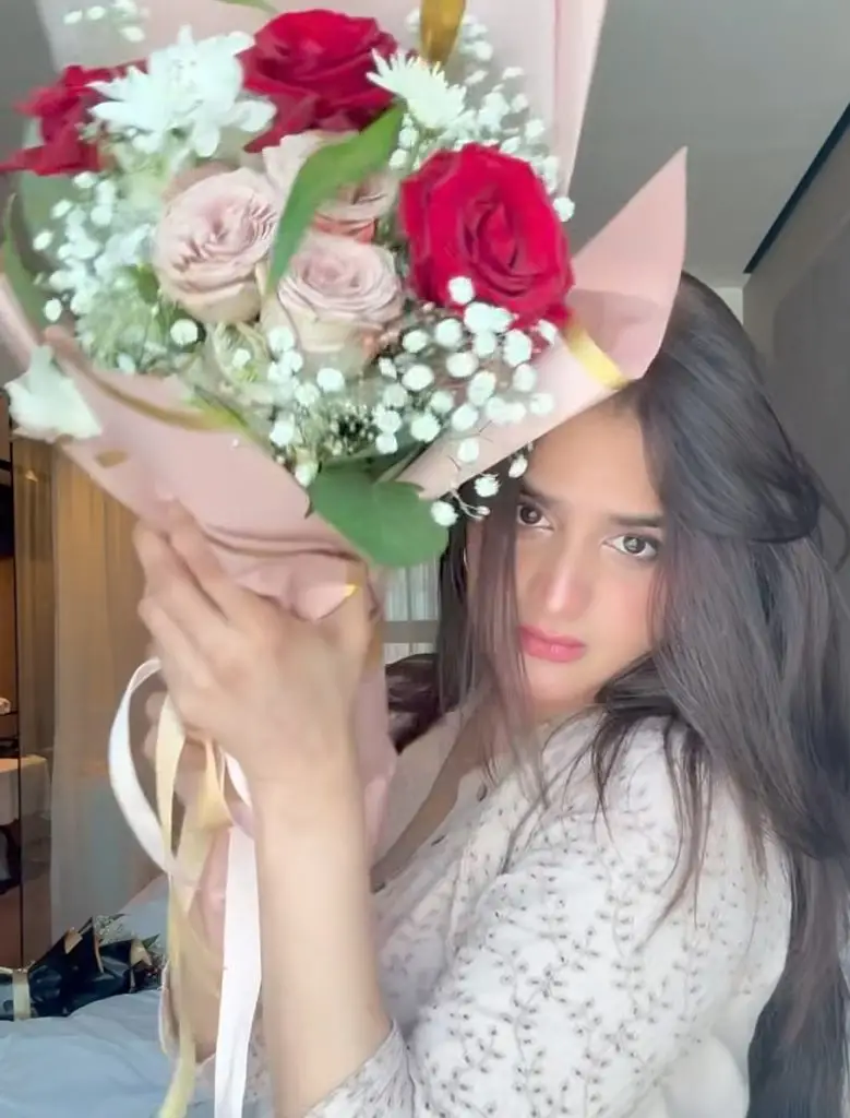 Hira Mani’s Latest Pictures & Reel Heavily Criticized
