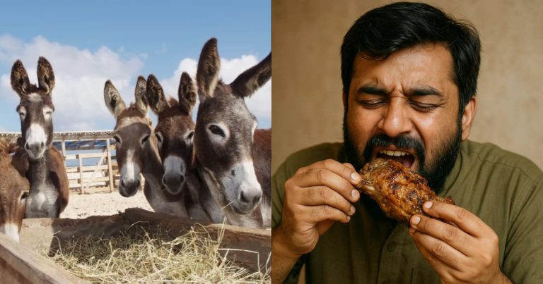 Donkey Meat In Islamabad Elicits Hilarious Reactions