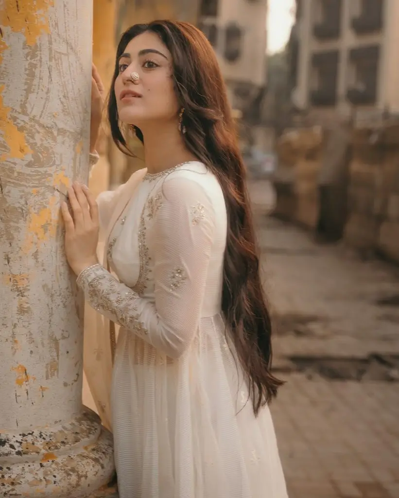 10 Pakistani Stars Who Climbed From Supporting to Lead Successfully
