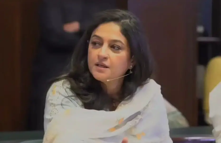 Nadia Jamil’s Recent Statement Gets Mixed Reactions
