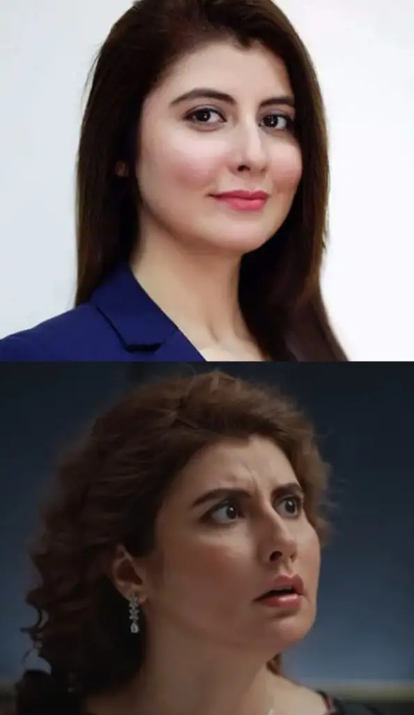 Najiba Faiz’s Look Before & After Cosmetic Surgery