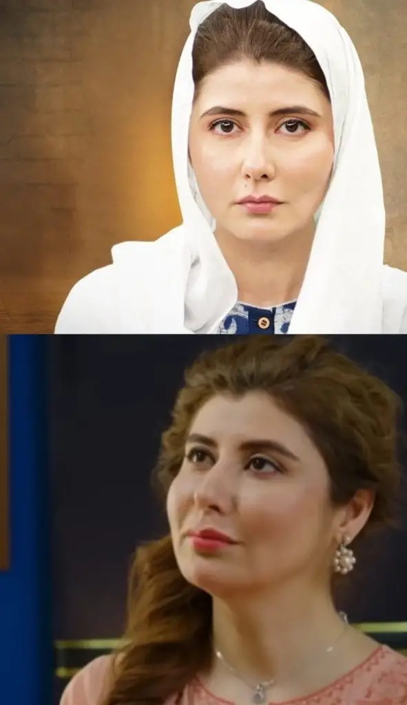 Najiba Faiz’s Look Before & After Cosmetic Surgery