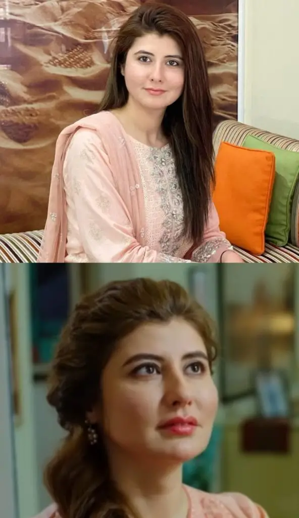 Najiba Faiz’s Look Before & After Cosmetic Surgery