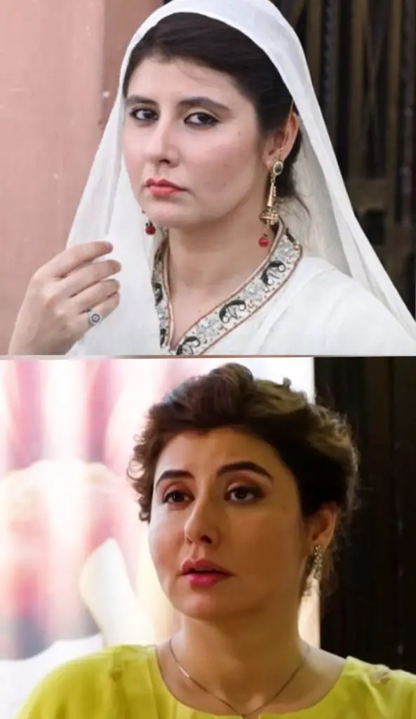 Najiba Faiz’s Look Before & After Cosmetic Surgery