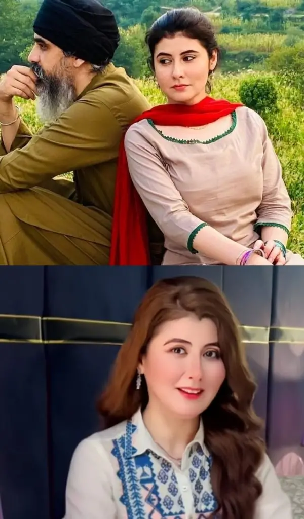 Najiba Faiz’s Look Before & After Cosmetic Surgery