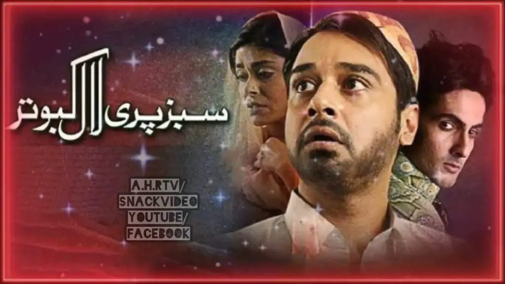Faysal Quraishi Dramas That Show He Is King Of Versatility