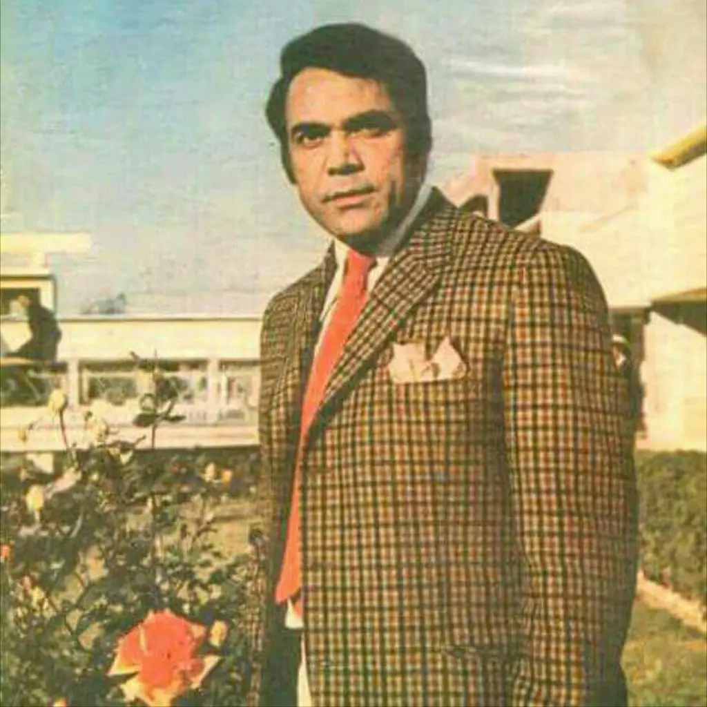 12 Pakistani Celebrities Who Had Painful Endings