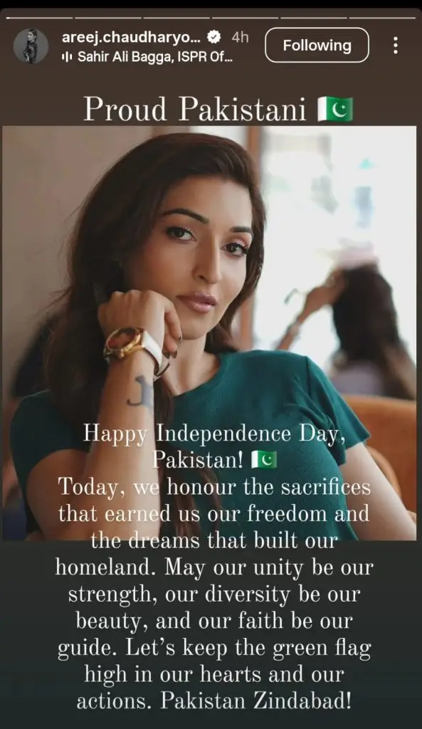 Pakistani Celebrities Share Sentiments On 78th Independence Day
