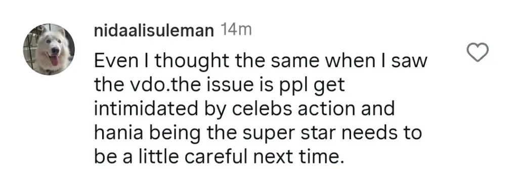 Shaniera Akram Calls Out Hania Aamir For Irresponsible Behaviour