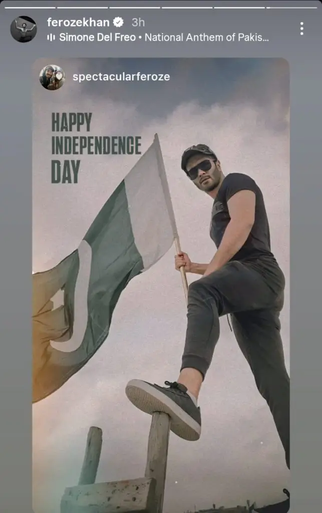 Pakistani Celebrities Share Sentiments On 78th Independence Day