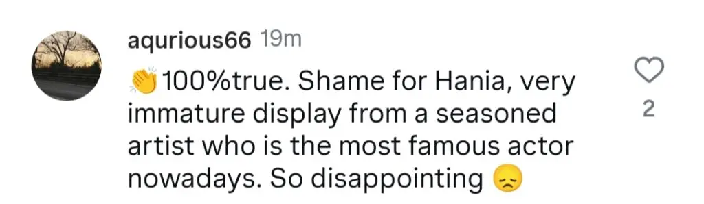 Shaniera Akram Calls Out Hania Aamir For Irresponsible Behaviour