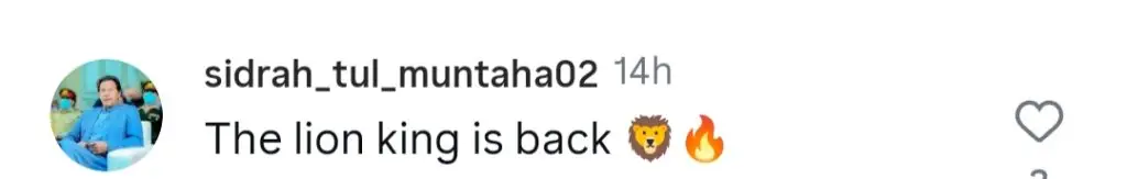 Sher Episode 24 – Sher’s Return Compared To Simba From The Lion King