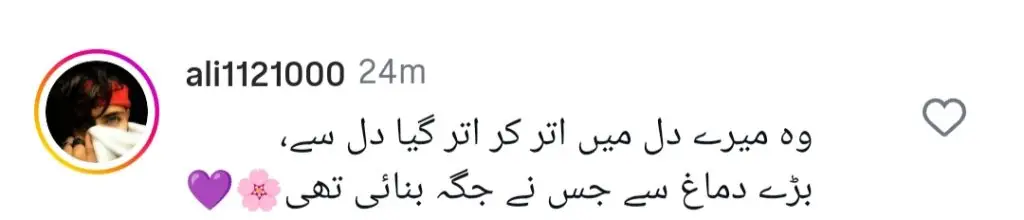 Shaniera Akram Calls Out Hania Aamir For Irresponsible Behaviour