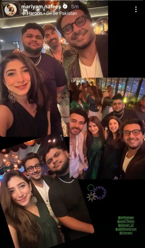 Pakistani Celebrities Share Sentiments On 78th Independence Day