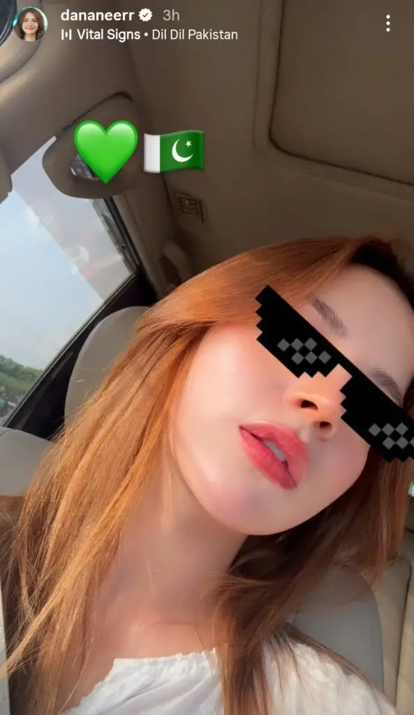 Pakistani Celebrities Share Sentiments On 78th Independence Day