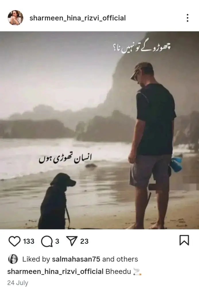 Hina Rizvi Announces Her Divorce