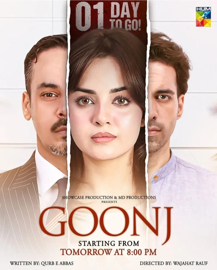 Goonj Criticized for Showing Irresponsible HR Character Afshan