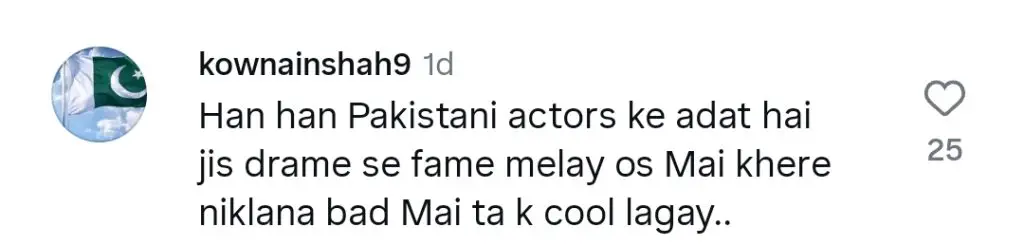Durefishan Saleem Faces Danish Taimoor Fans’ Wrath
