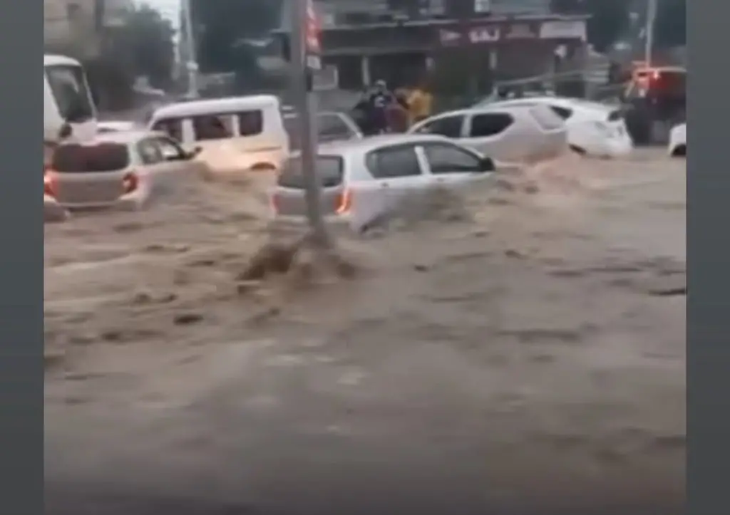 Pakistani Celebrities Express Their Sentiments on Devastating Floods