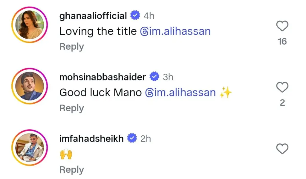 Mawra Hocane & Talha Chahour Upcoming Drama Details