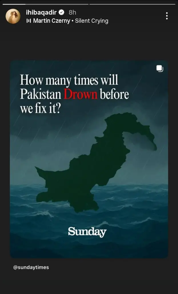 Pakistani Celebrities Express Their Sentiments on Devastating Floods