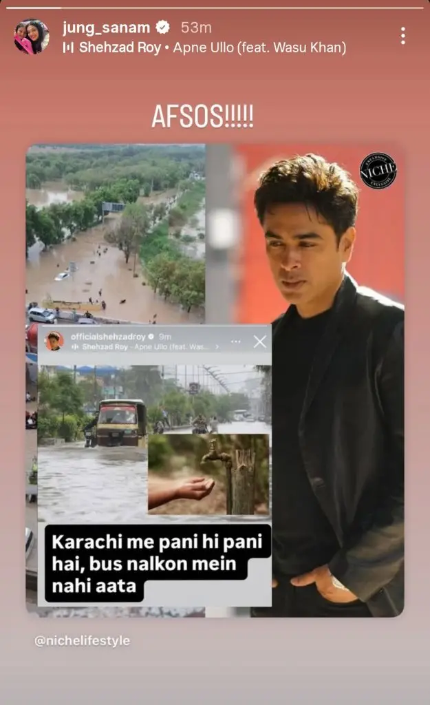 Pakistani Celebrities Express Their Sentiments on Devastating Floods