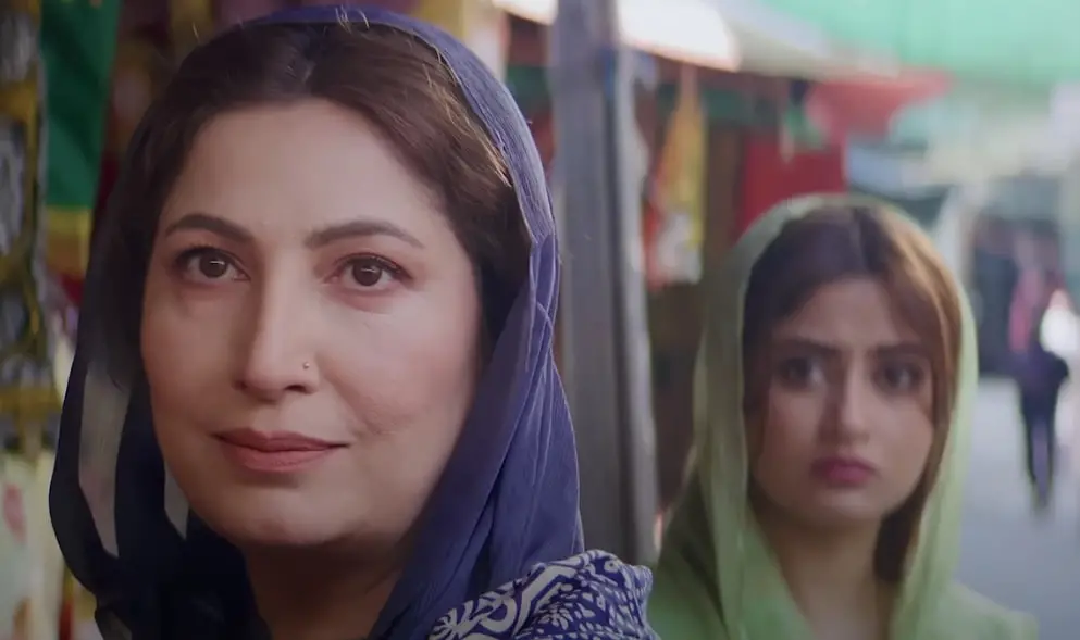 Main Manto Nahi Hoon – Hit Or Flop? Public Divided