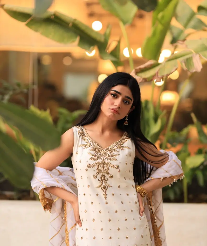 Nameer Khan & Sehar Khan Upcoming Drama Details
