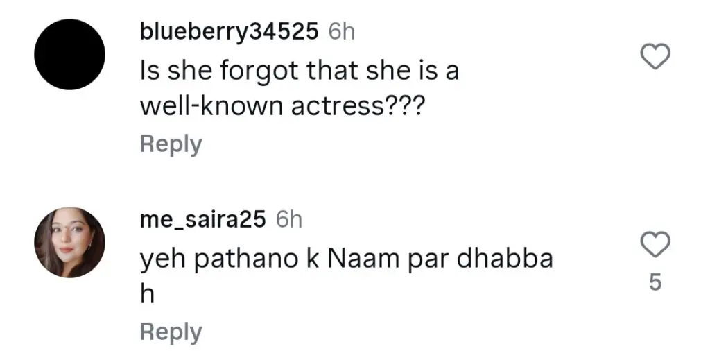Internet Trolls Dananeer Mobeen’s Latest Video