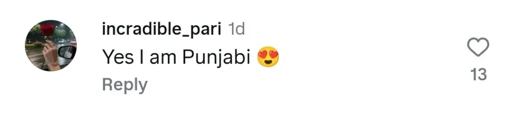 Ushna Shah Applauded For Her Punjabi